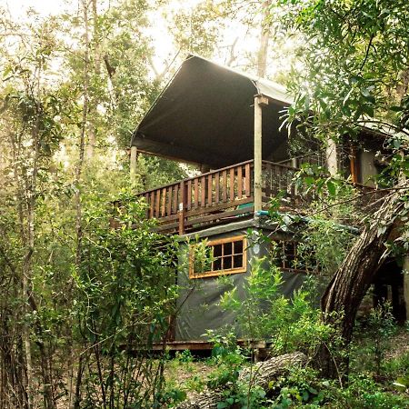 Fernhill Tented Treehouses Rheenendal Buitenkant foto