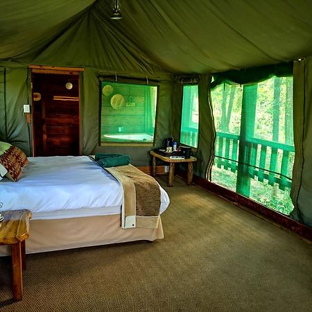 Fernhill Tented Treehouses Rheenendal Buitenkant foto