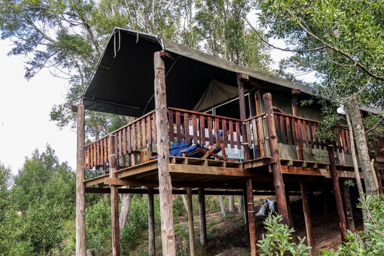 Fernhill Tented Treehouses Rheenendal Buitenkant foto