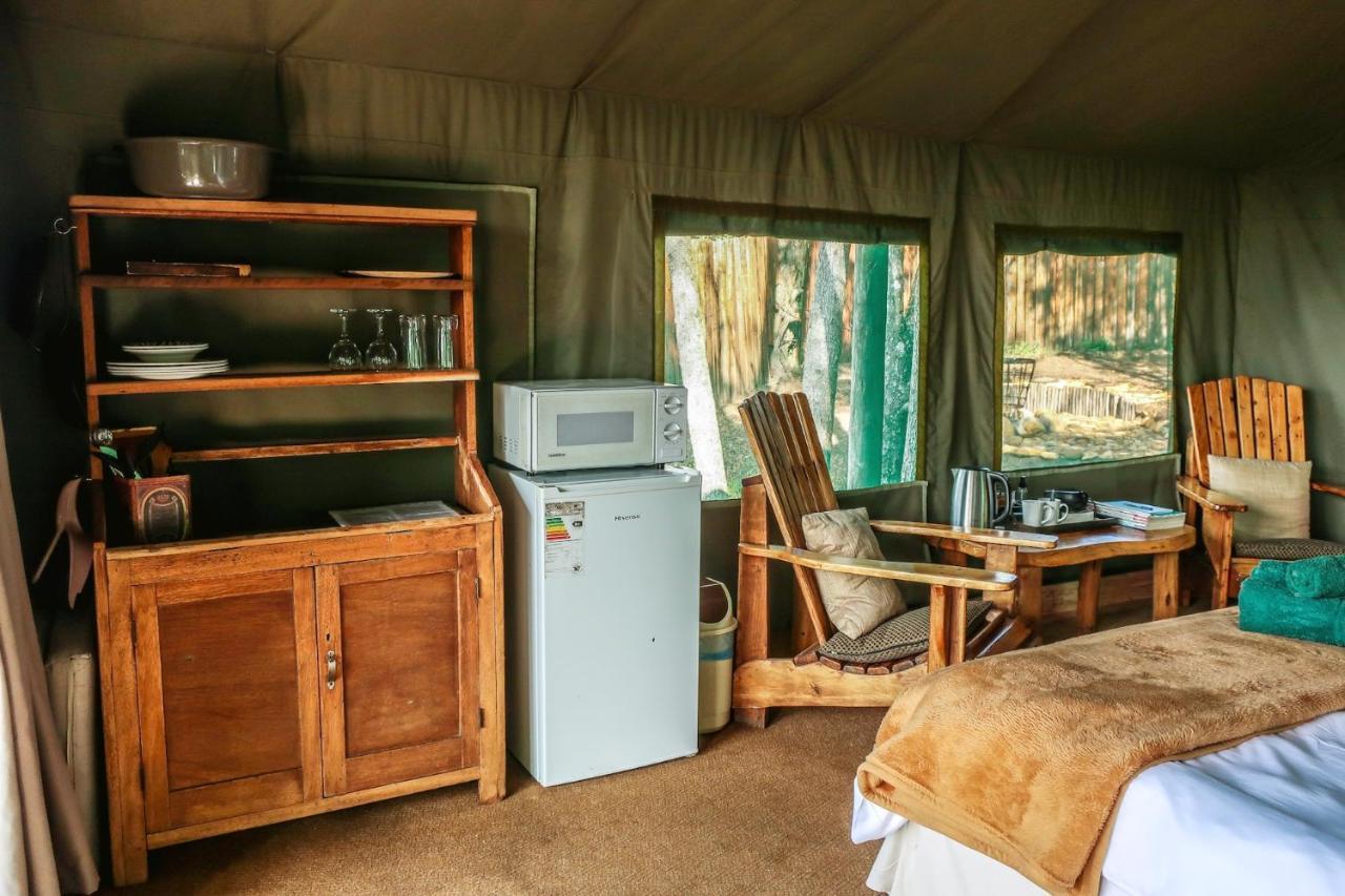 Fernhill Tented Treehouses Rheenendal Buitenkant foto