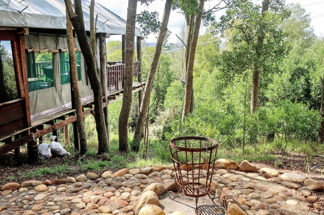 Fernhill Tented Treehouses Rheenendal Buitenkant foto