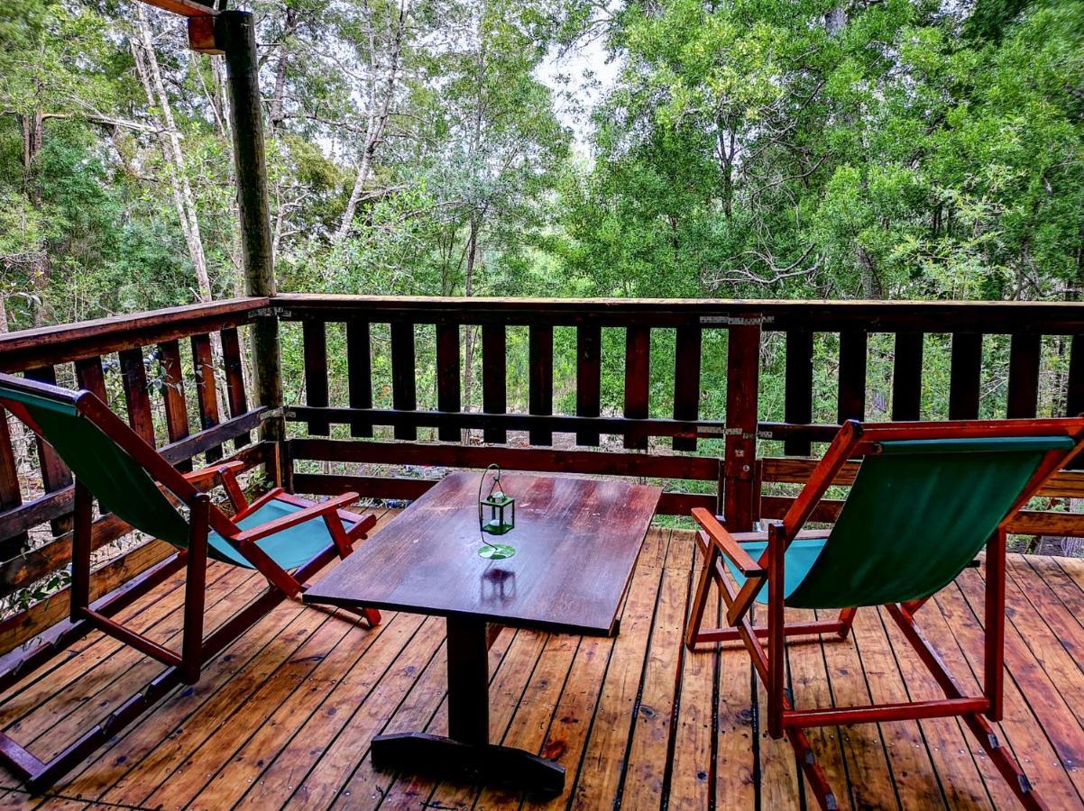 Fernhill Tented Treehouses Rheenendal Buitenkant foto