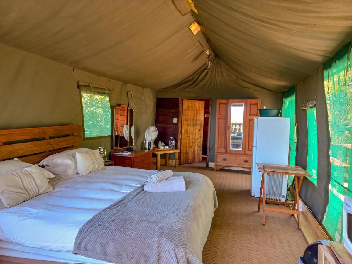 Fernhill Tented Treehouses Rheenendal Buitenkant foto