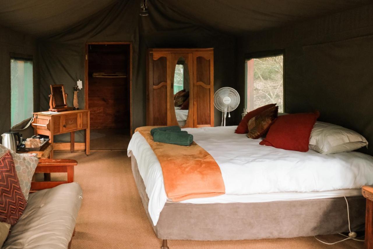 Fernhill Tented Treehouses Rheenendal Buitenkant foto
