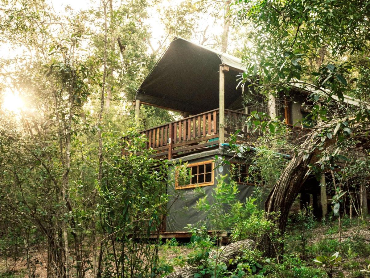 Fernhill Tented Treehouses Rheenendal Buitenkant foto