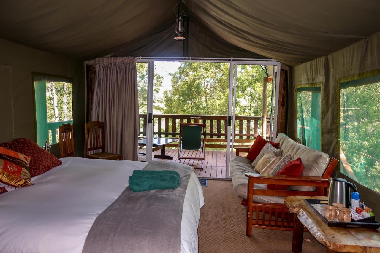 Fernhill Tented Treehouses Rheenendal Buitenkant foto