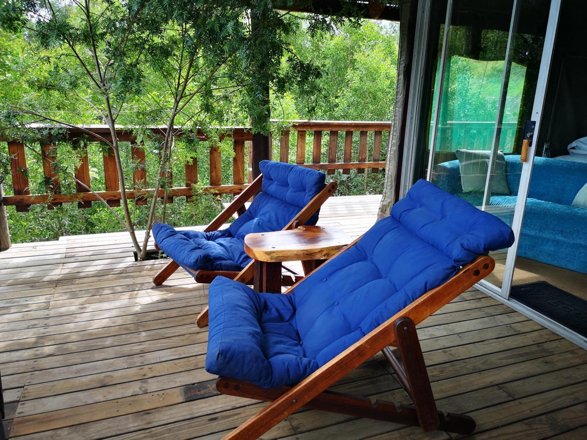 Fernhill Tented Treehouses Rheenendal Kamer foto