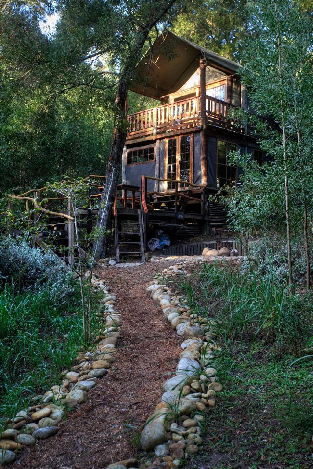 Fernhill Tented Treehouses Rheenendal Kamer foto